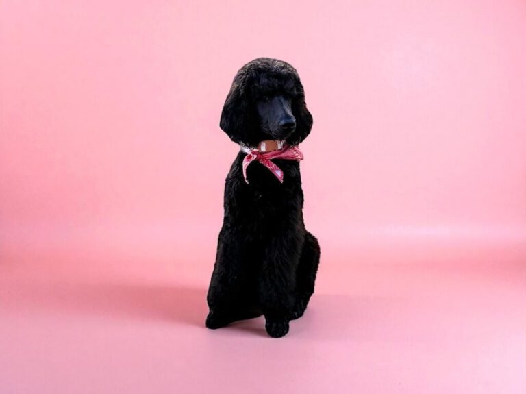 well-groomed dog wearing pink bandana in front of pink background