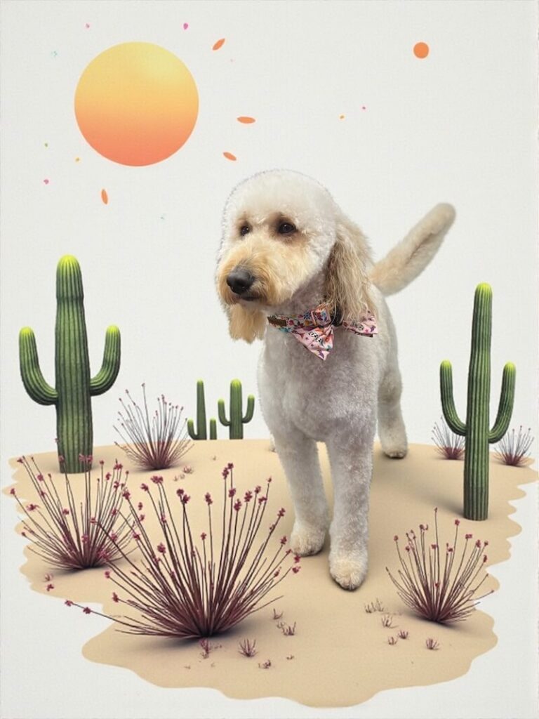 well-groomed dog surrounded by a desert-themed design