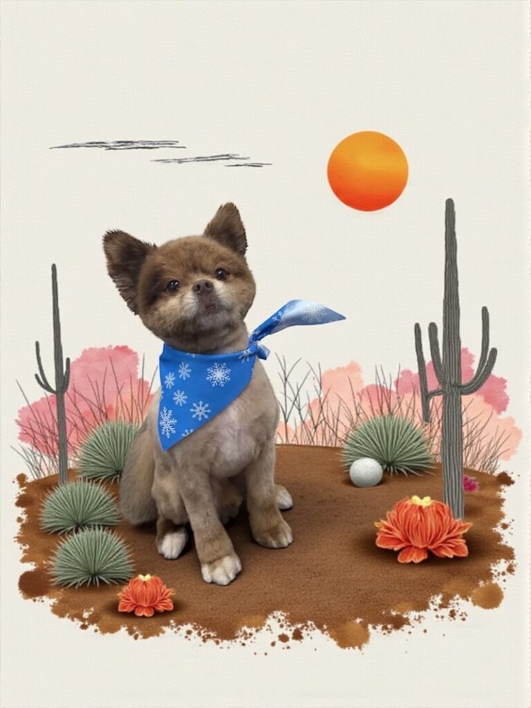 small well-groomed dog in front of a watercolor desert scene