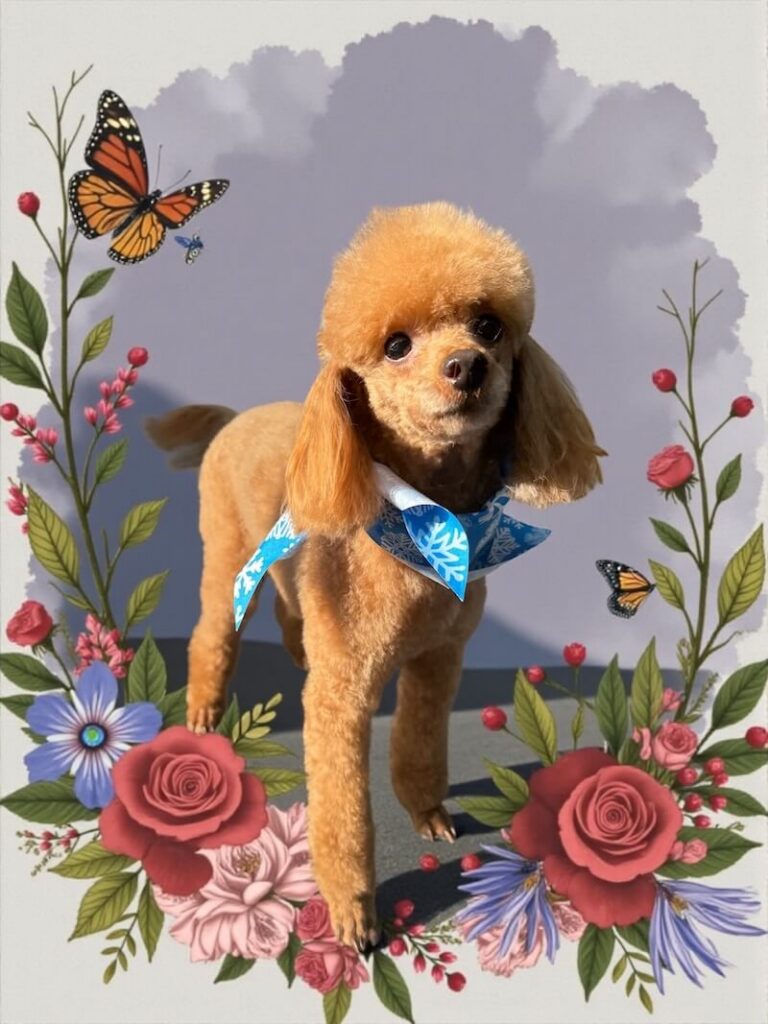 well-groomed dog surrounded by a floral design with butterflies