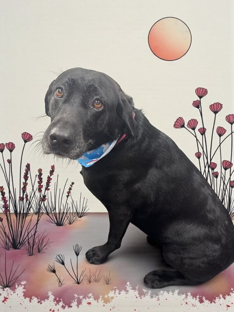 well-groomed dog in front of a watercolor scene with sun and flowers