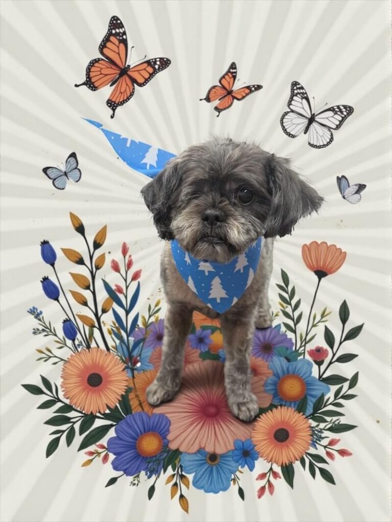 well-groomed dog sitting in front of floral design and butterflies