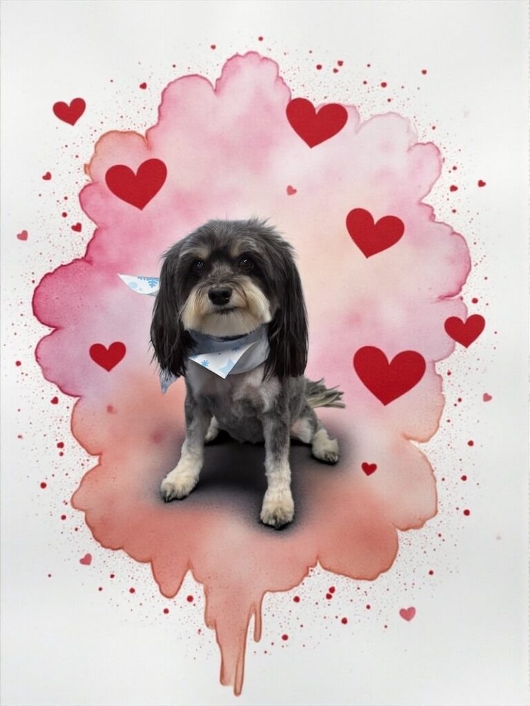 well-groomed dog surrounded by a pink watercolor design with hearts