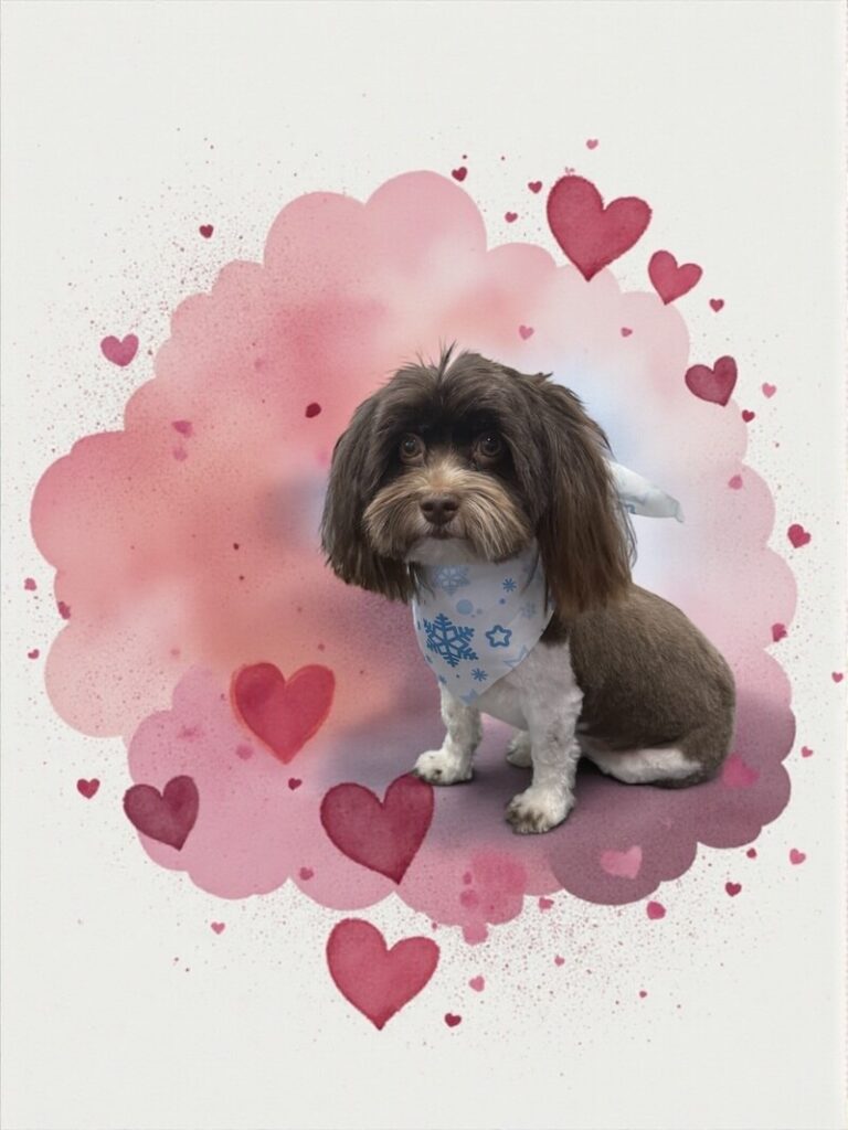 well-groomed dog surrounded by a pink watercolor design with hearts