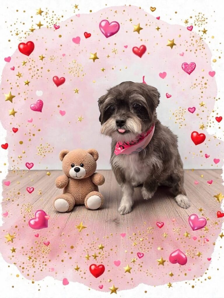 well-groomed dog sitting next to a teddy bear and surrounded by a pink watercolor design with hearts