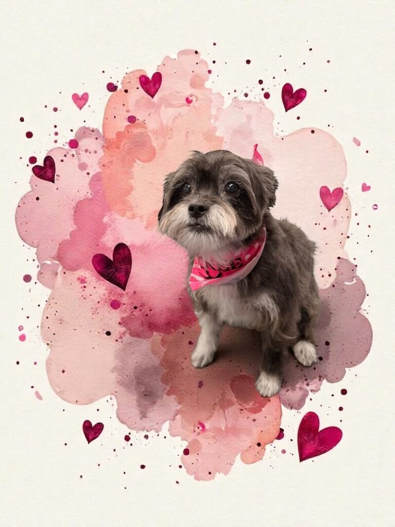 well-groomed dog surrounded by a pink watercolor design with hearts