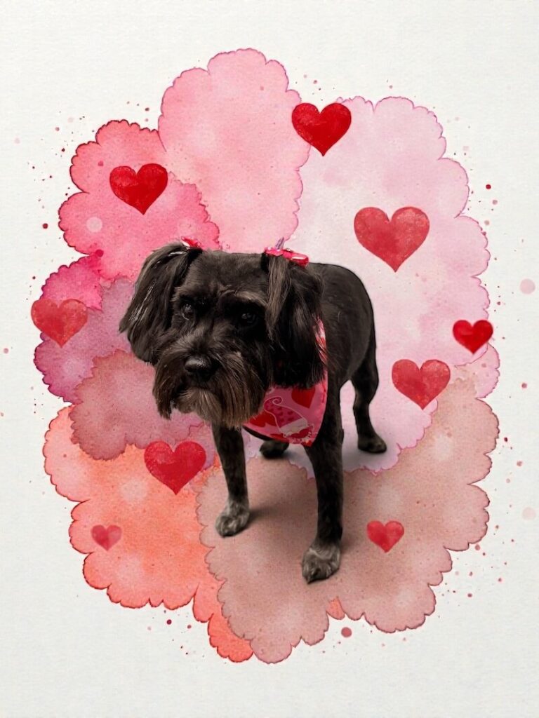 well-groomed dog surrounded by a pink watercolor design with hearts