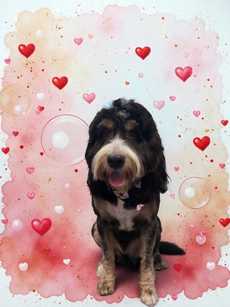 well-groomed dog surrounded by a pink watercolor design with hearts