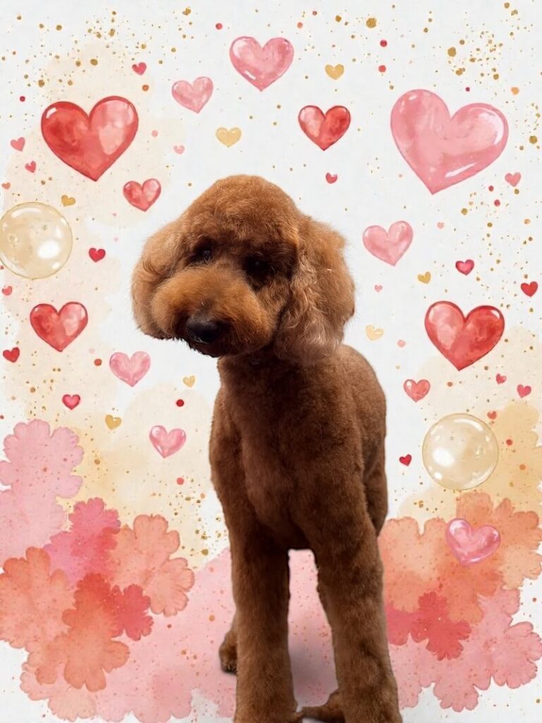 well-groomed dog surrounded by a pink watercolor design with hearts