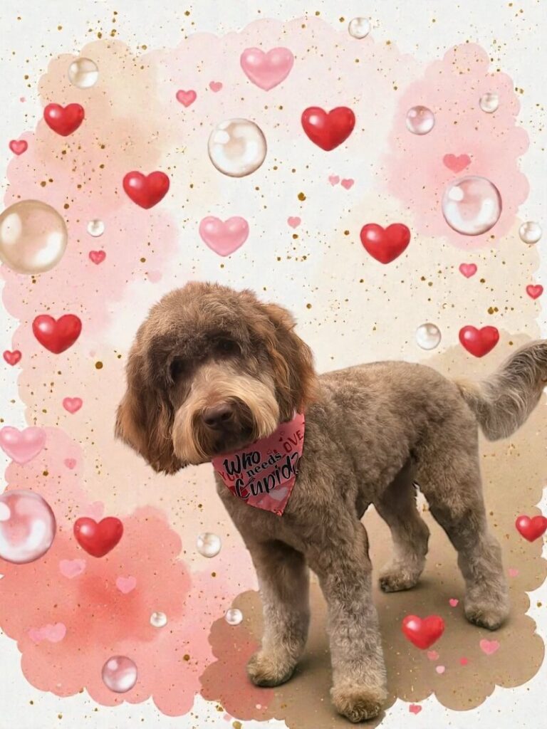 well-groomed dog surrounded by a pink watercolor design with hearts