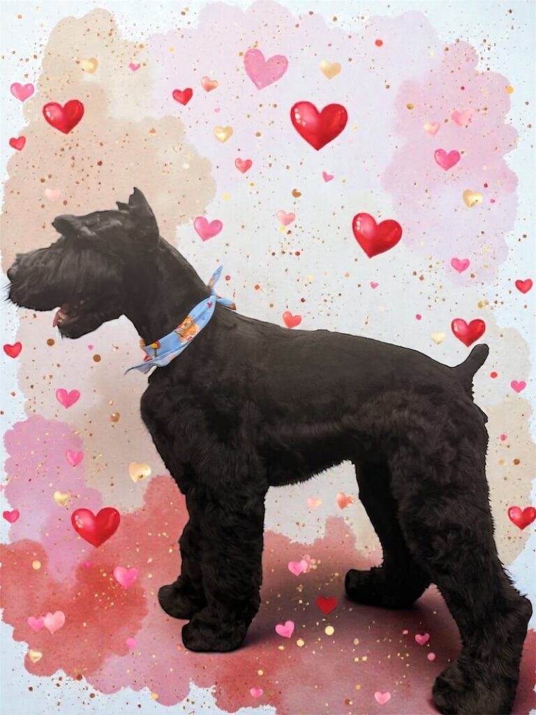 well-groomed dog surrounded by a pink watercolor design with hearts