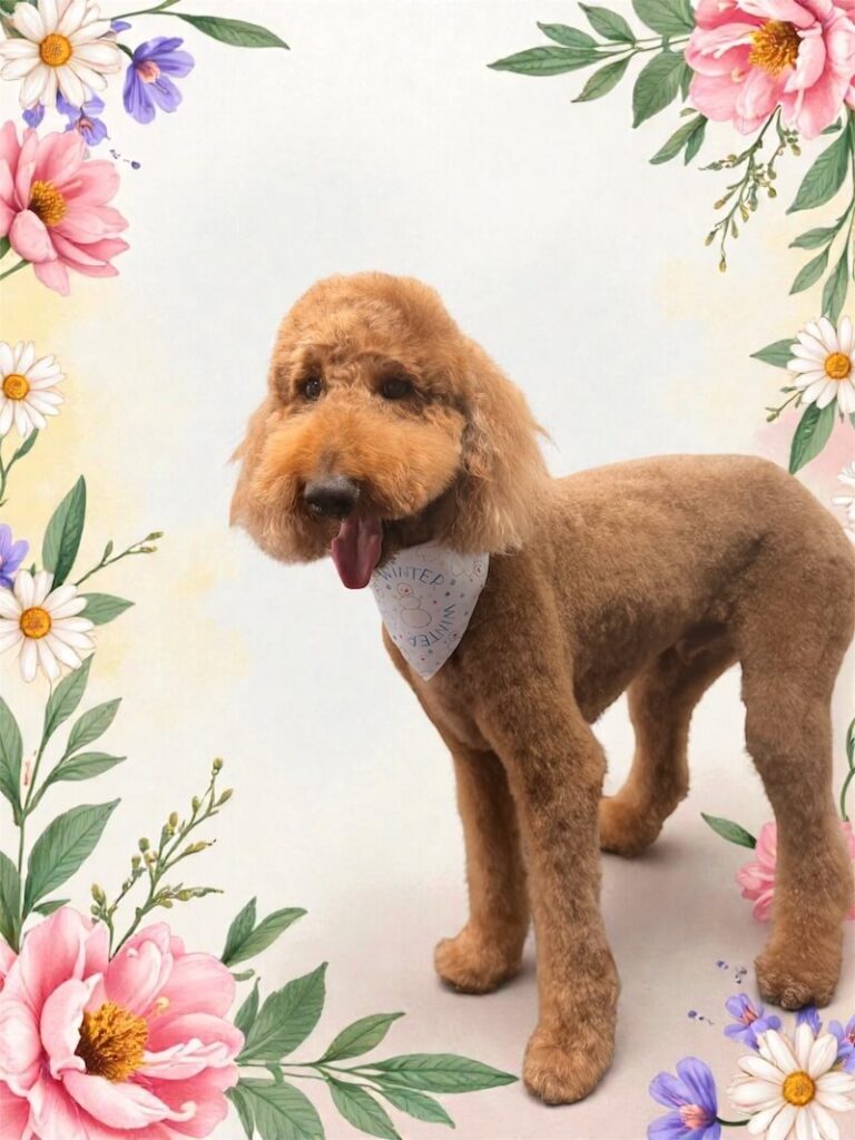 well-groomed dog surrounded by a floral design