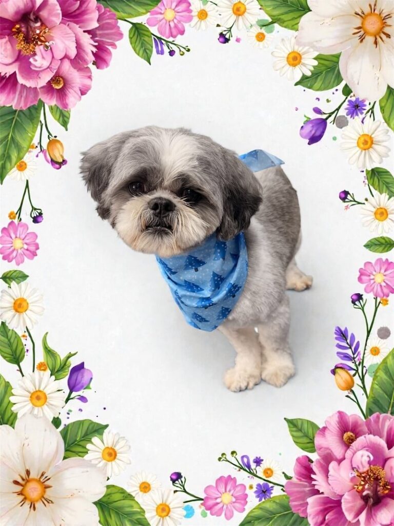 well-groomed dog surrounded by a floral design